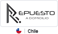 el repuestero Chile